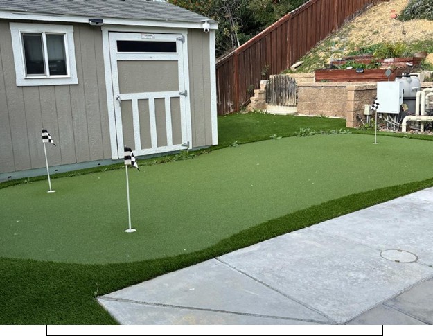 Artificial Grass Maintenance, Weed Removal, Before Los Angeles Artificial Grass Cleaning & Odor Removal Service