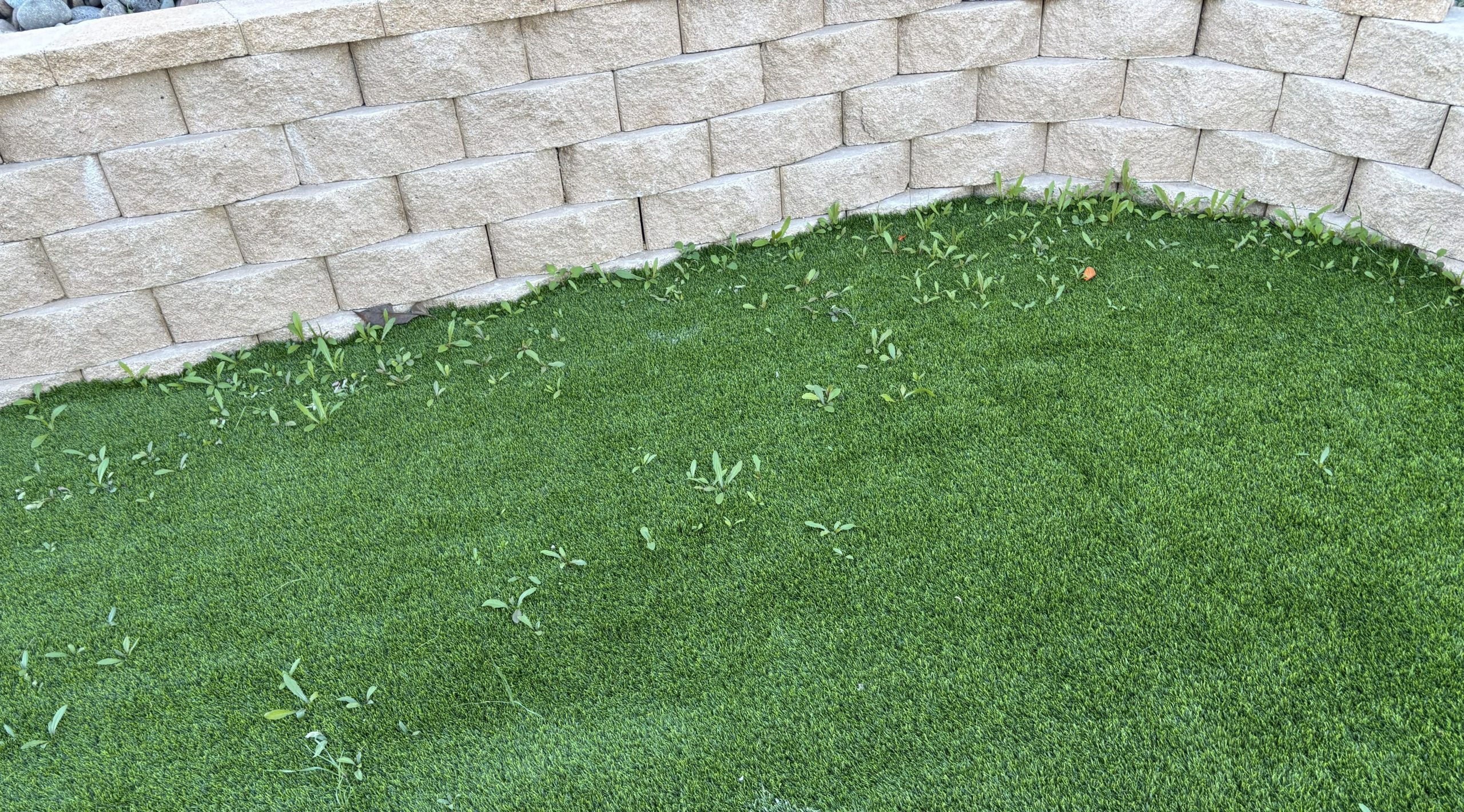 Artificial Grass Cleaning & Odor Removal Service, Los Angeles