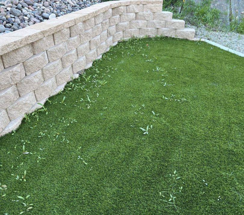 Los Angeles Artificial Grass Cleaning & Odor Removal Service