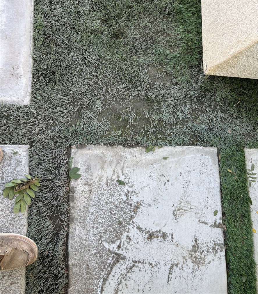 Deep Turf Cleaning – Before Artificial Grass Cleaning & Odor Removal Service, Los Angeles