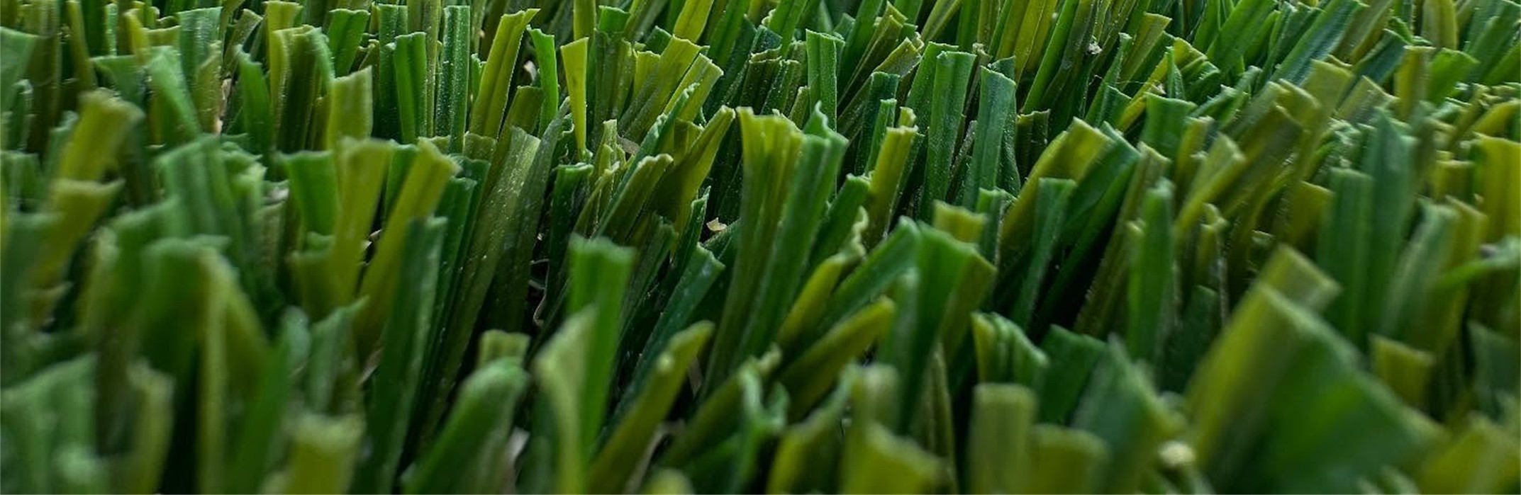 Emerald Ridge Artificial Grass, Los Angeles Artificial Grass