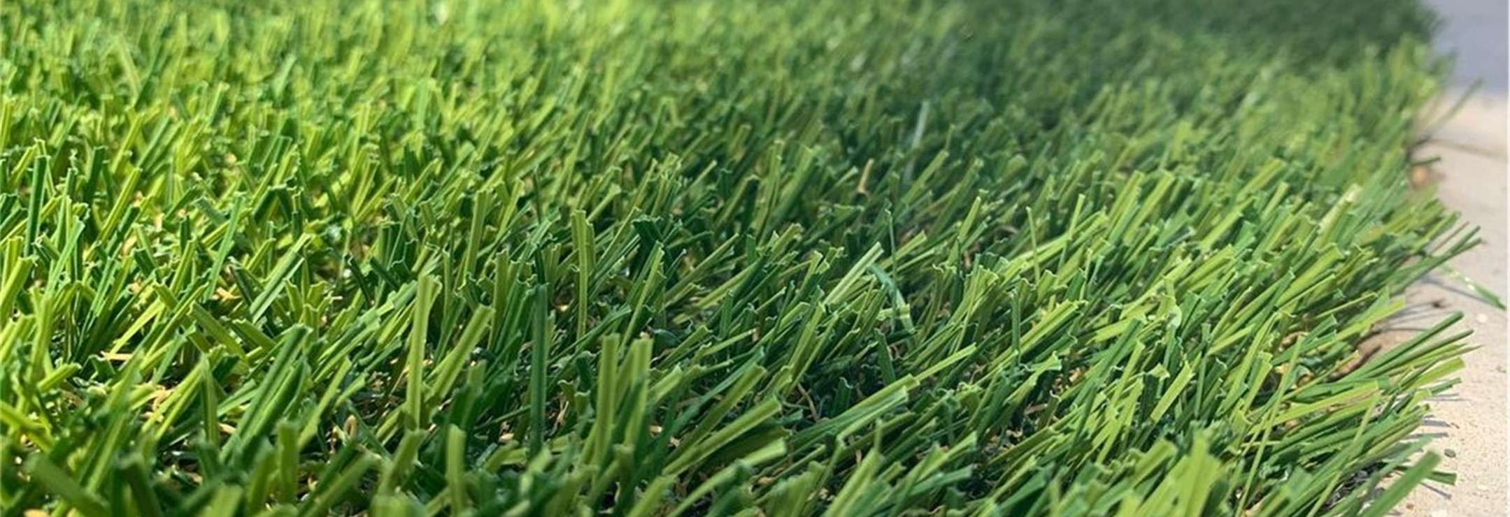 Evergreen Artificial Grass, Los Angeles Artificial Grass, CA
