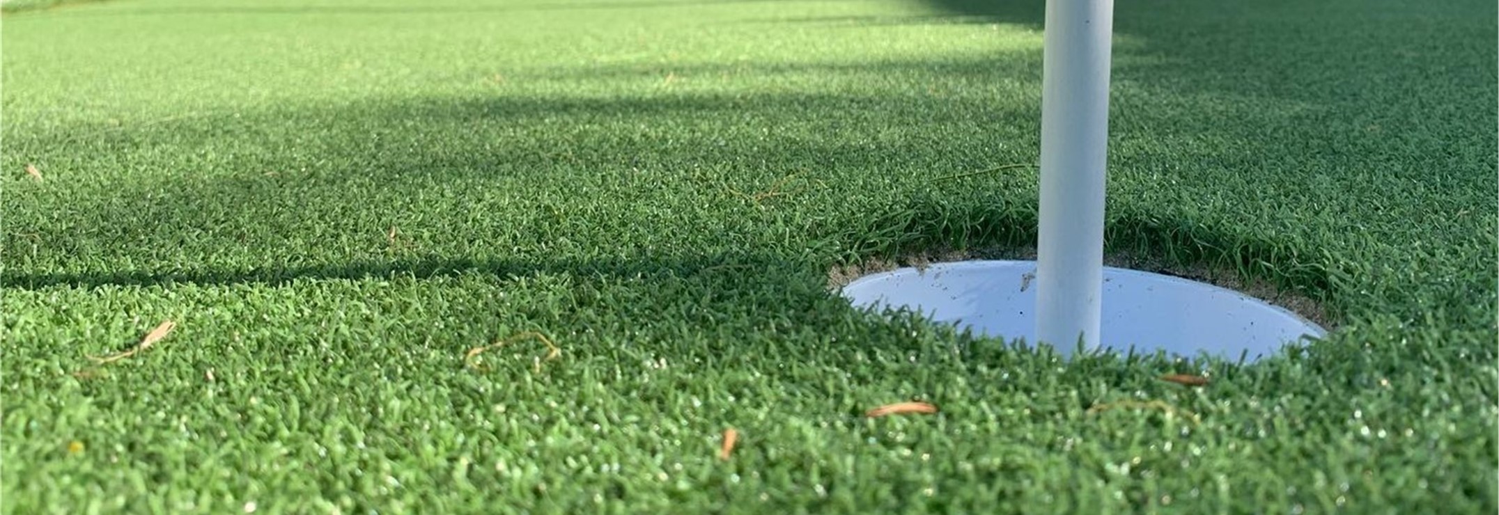 Links Putt Turf, Los Angeles Artificial Grass , CA