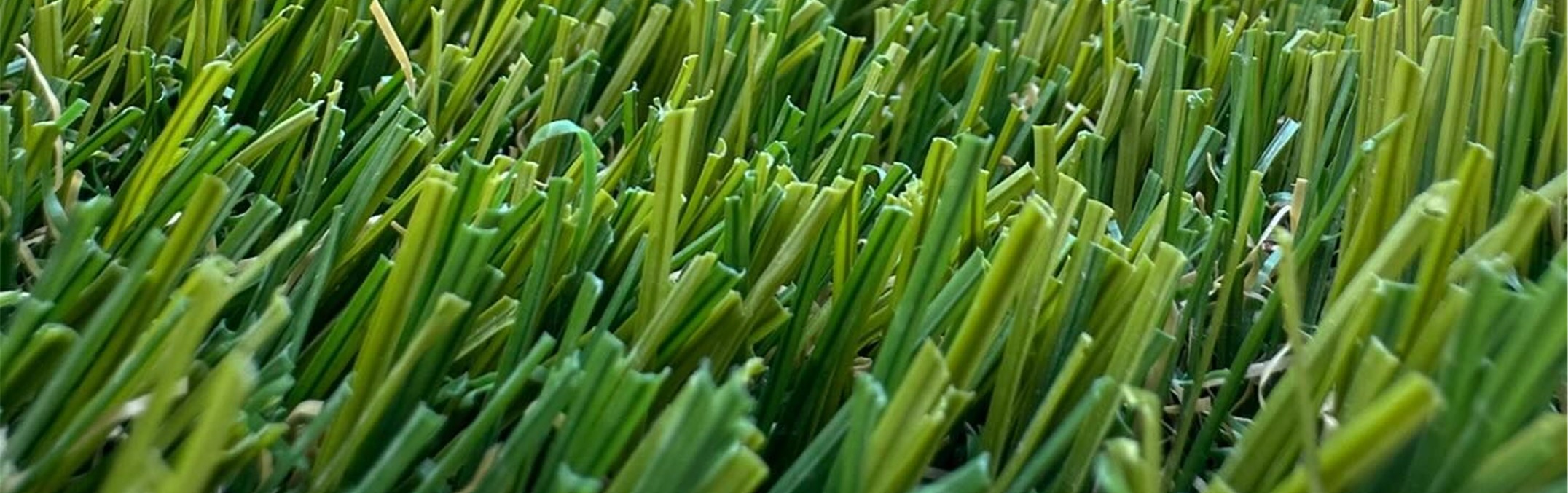 Marathon Series, Los Angeles Artificial Grass