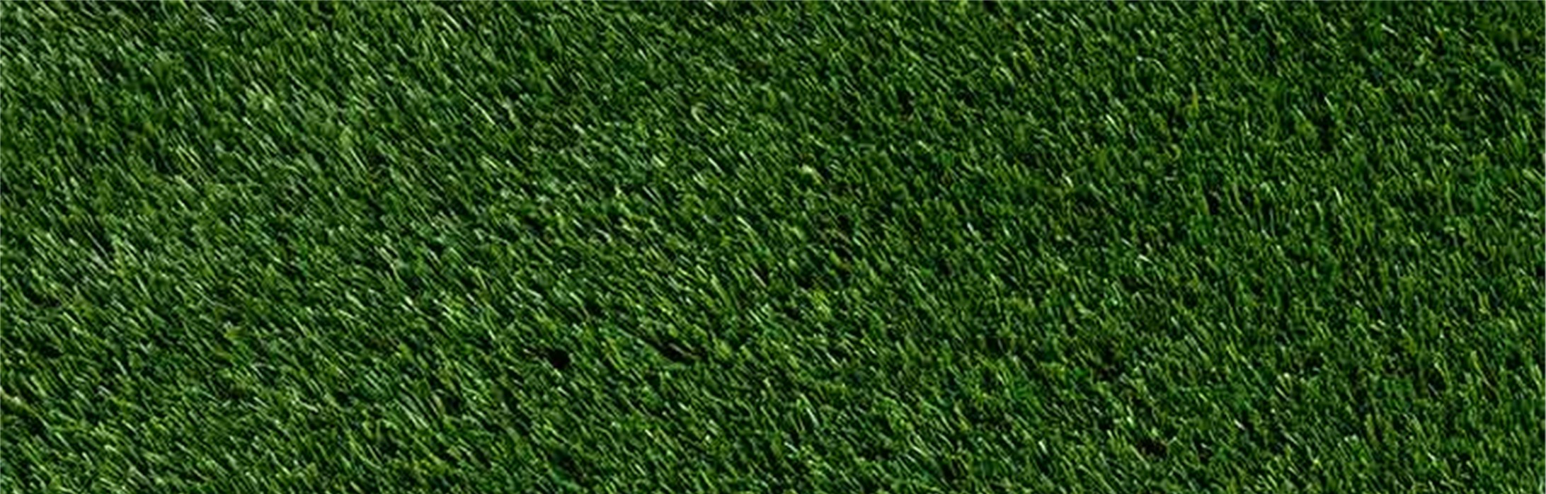 Oakmont Artificial Grass, Los Angeles Artificial Grass