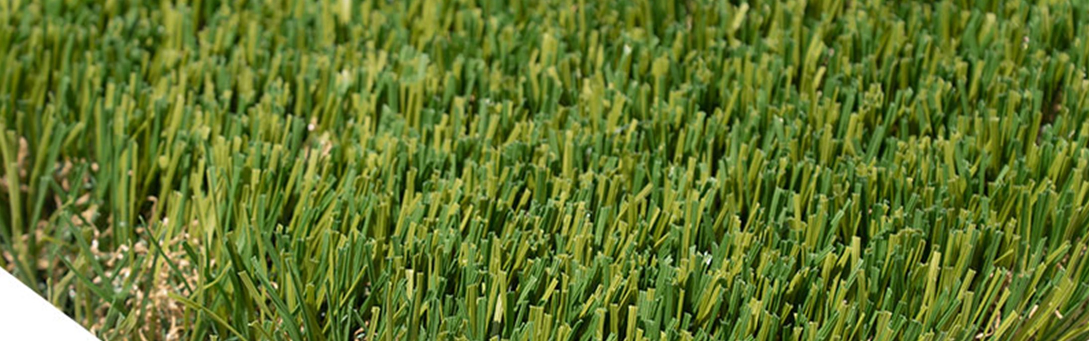 Oakmont Supreme Artificial Grass, Los Angeles