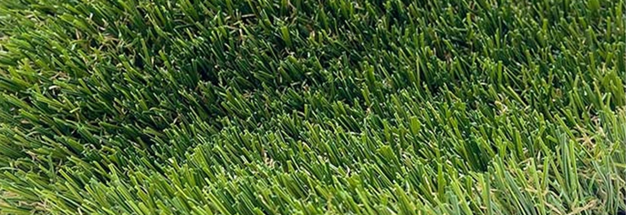 Pine Pro Artificial Grass, Los Angeles Artificial Grass Cleaning