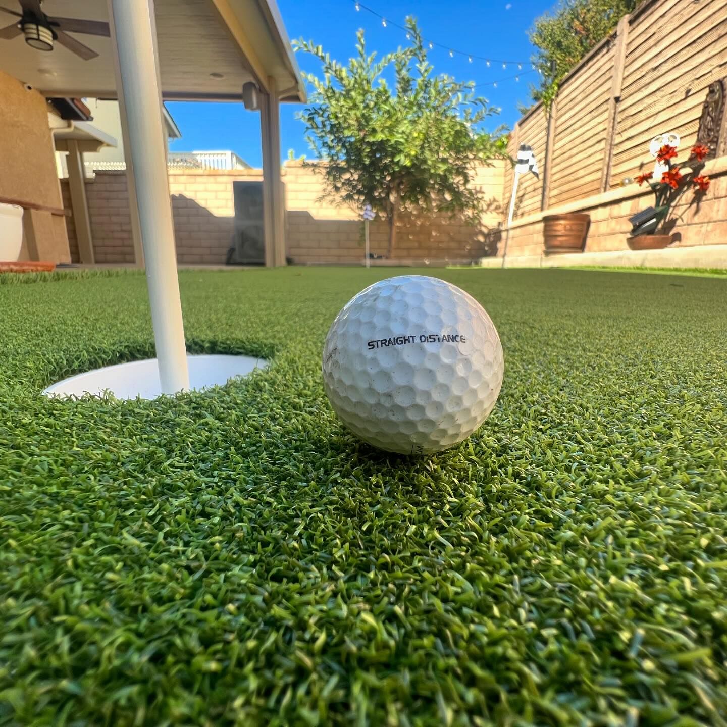 Putting Green Maintenance, Los Angeles Artificial Grass Cleaning