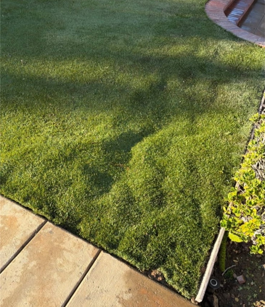Los Angeles Artificial Grass Cleaning & Odor Removal Service