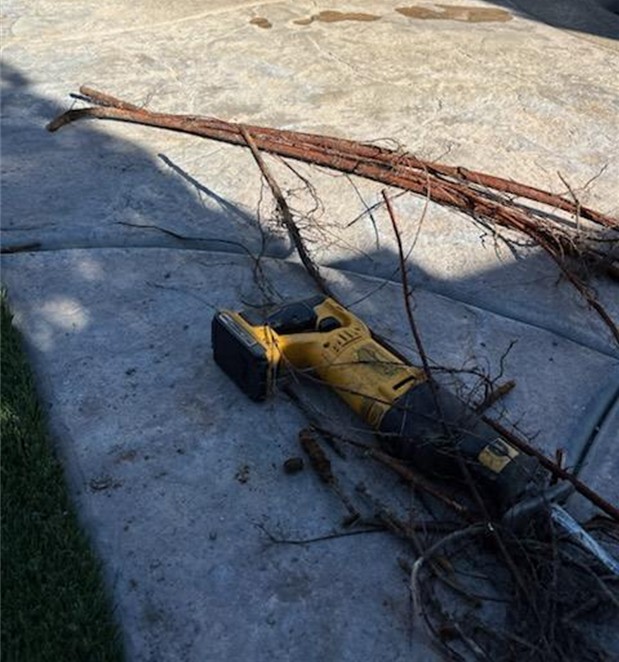 Roots Removal In Process, after