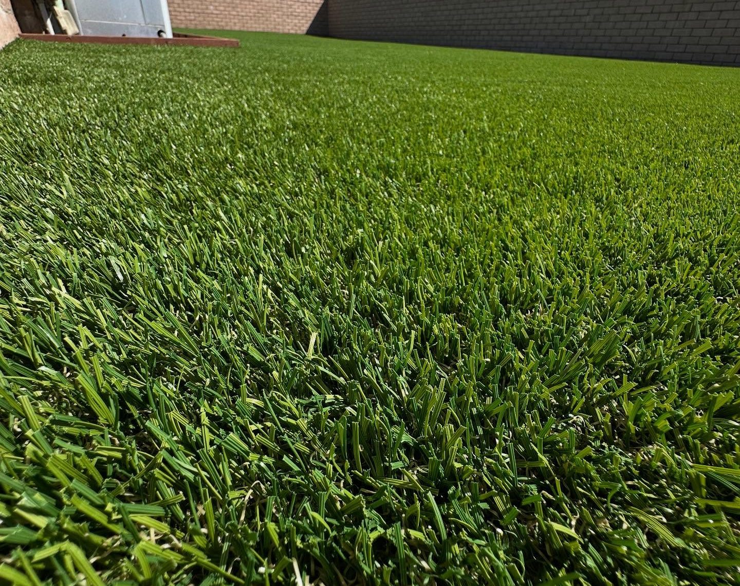 Los Angeles Artificial Grass Cleaning & Odor Removal Service