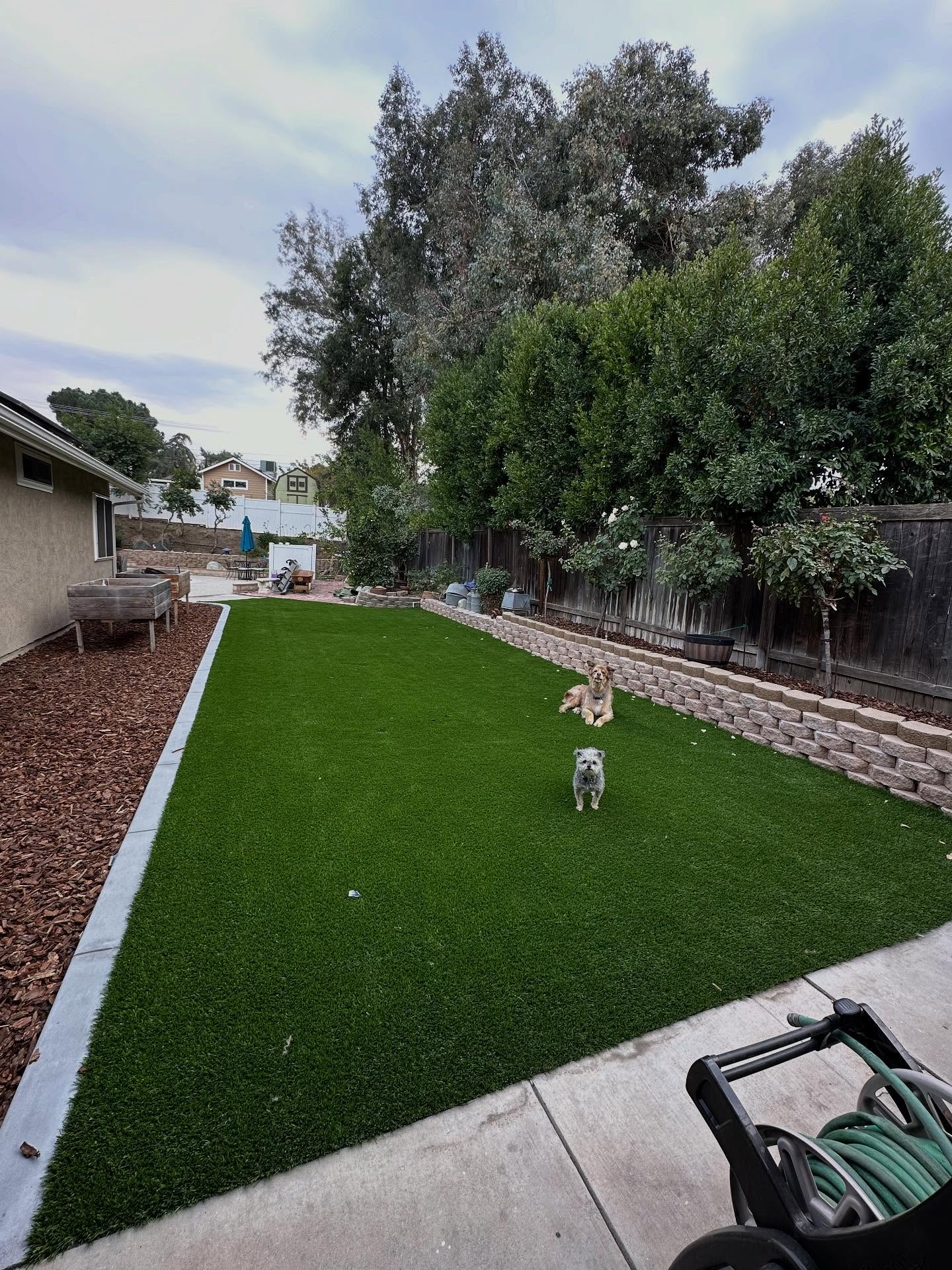 Turf Replacement in Yucaipa CA Artificial Grass Replacement, Los Angeles Artificial Grass Cleaning