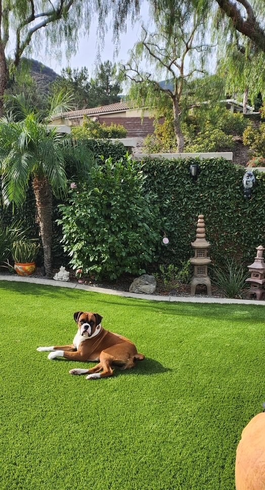 Tyson – Lety Cleaning Job
