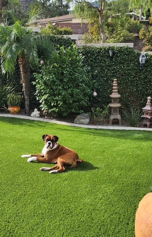 Artificial Grass Cleaning & Odor Removal Service, Los Angeles