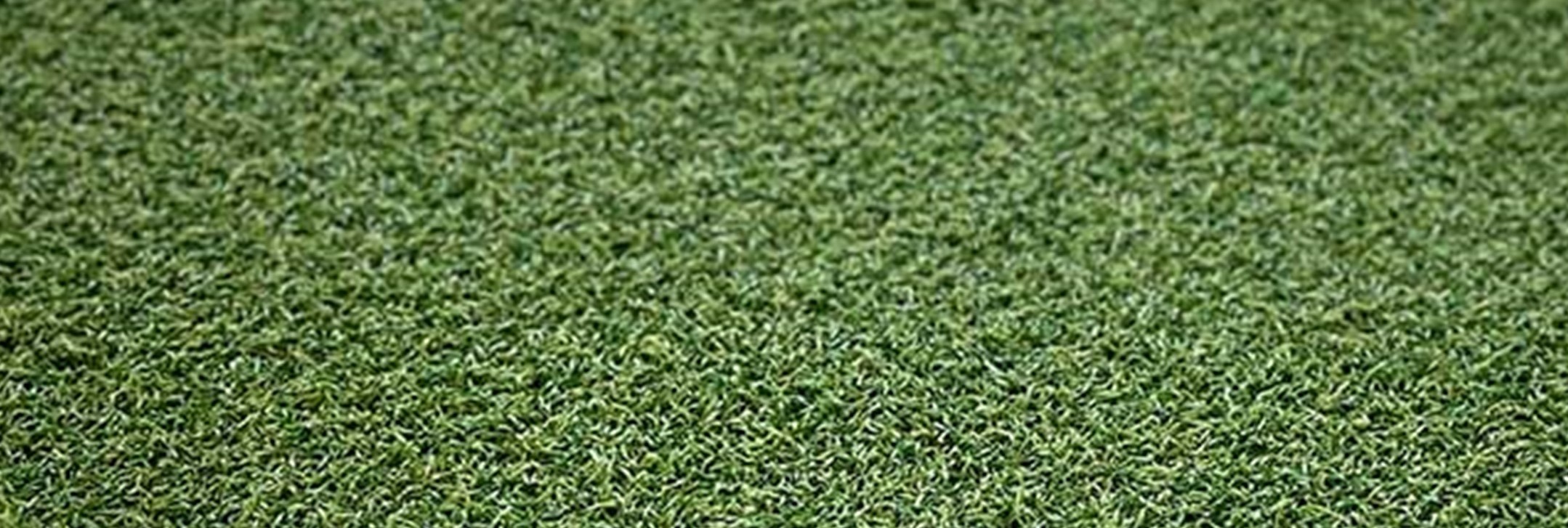 Xtreme Sports/Play Turf, Los Angeles Artificial Grass